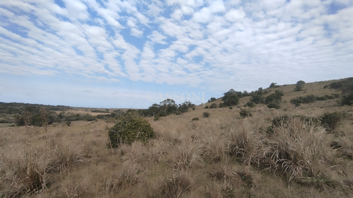 Campo Ref.2897 - Campo en venta, Maldonado, en la zona del Cerro Catedral