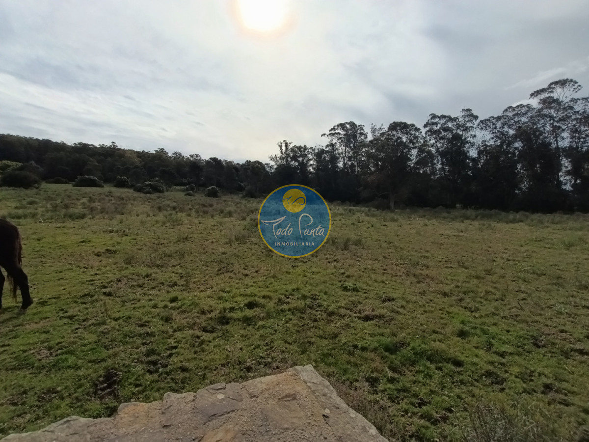 Miniatura de Chacra en La Pataia, Maldonado | Todo Punta