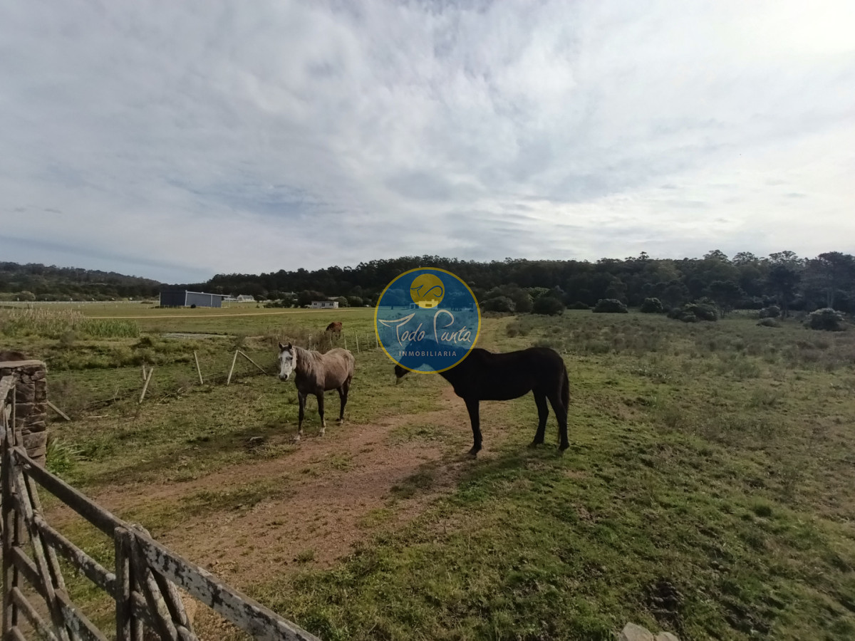 Miniatura de Chacra en La Pataia, Maldonado | Todo Punta