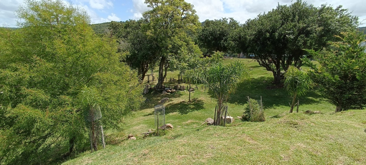 Campo Ref.348 - Hermoso Campo panorámico a los pies del Cerro Catedral, Aigua