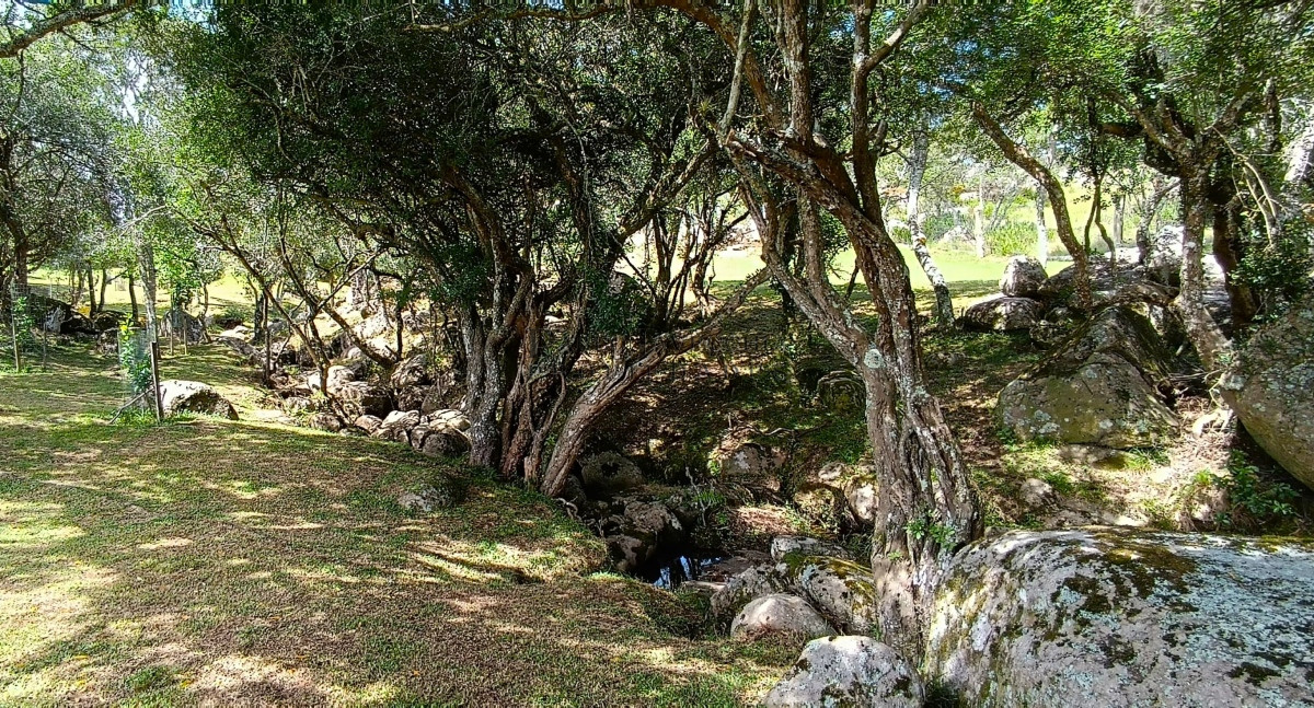 Campo Ref.348 - Hermoso Campo panorámico a los pies del Cerro Catedral, Aigua
