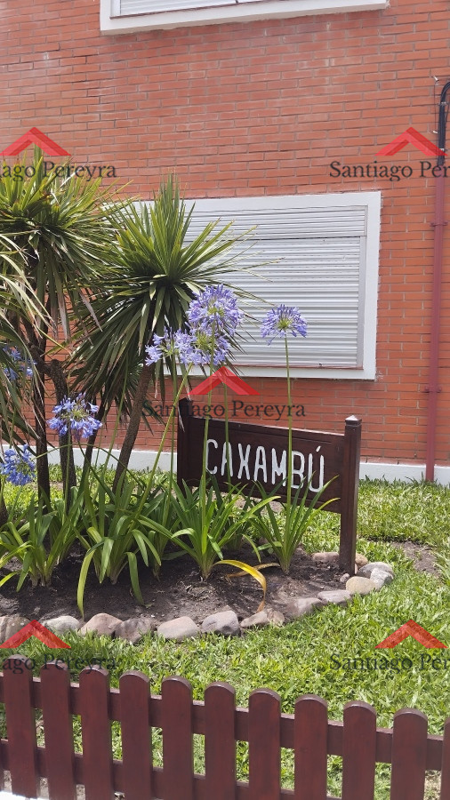 Apartamento ID.16797 - Apartamento en venta zona península, 2 dormitorios