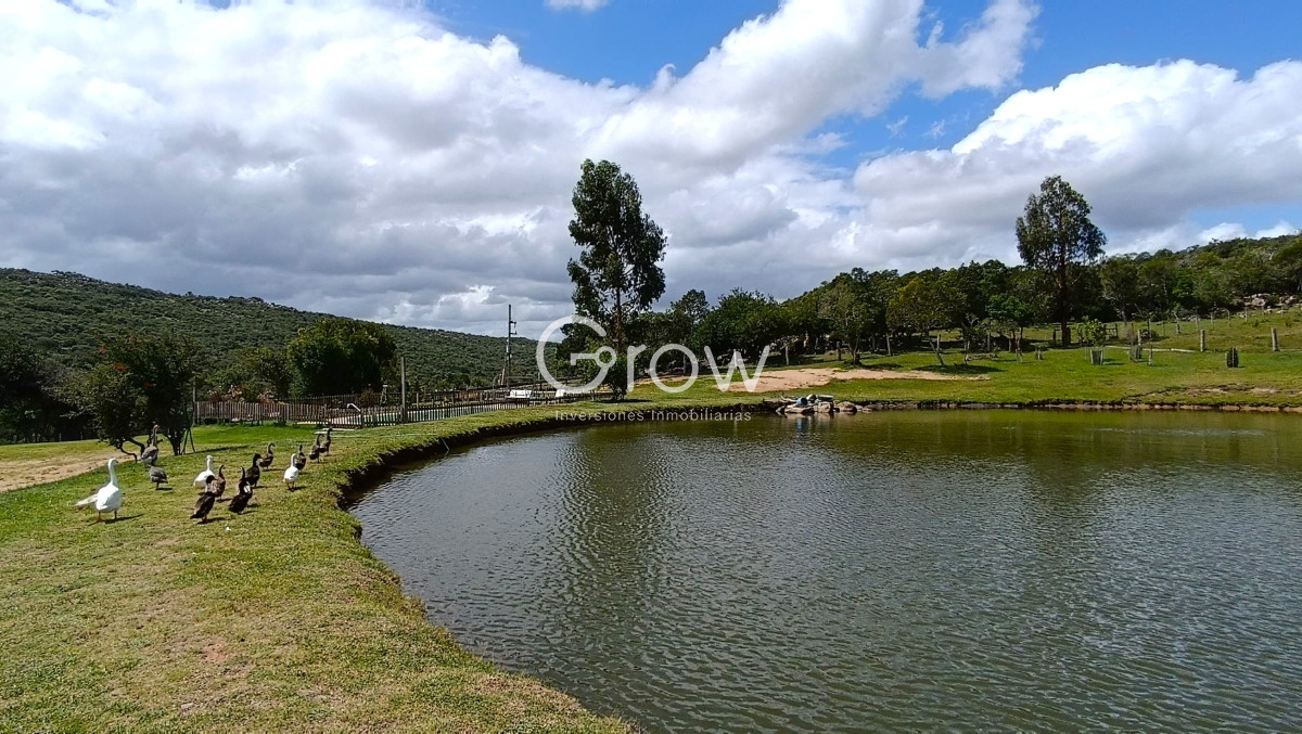 Campo en venta, a los pies del Cerro Catedral, Aigua - GoPunta - Portal Inmobiliario de Punta del Este - Maldonado