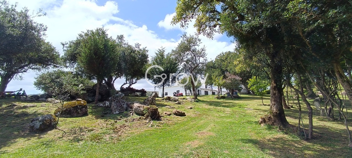 Campo Ref.1401 - Campo en venta, a los pies del Cerro Catedral, Aigua