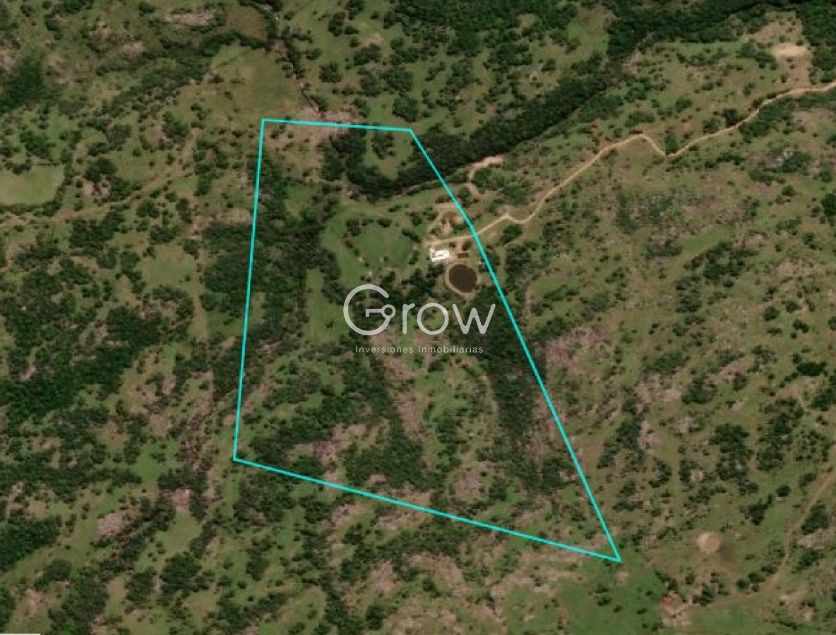 Campo en venta, a los pies del Cerro Catedral, Aigua - GoPunta - Portal Inmobiliario de Punta del Este - Maldonado