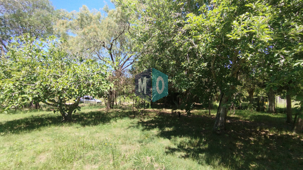 Chacra ID.797 - Chacra en venta ubicada a 2 km de la ciudad de Aigua.