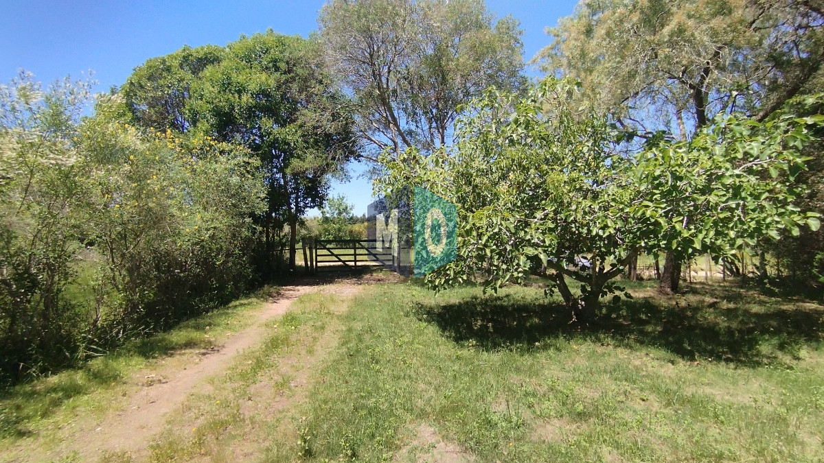 Chacra ID.797 - Chacra en venta ubicada a 2 km de la ciudad de Aigua.