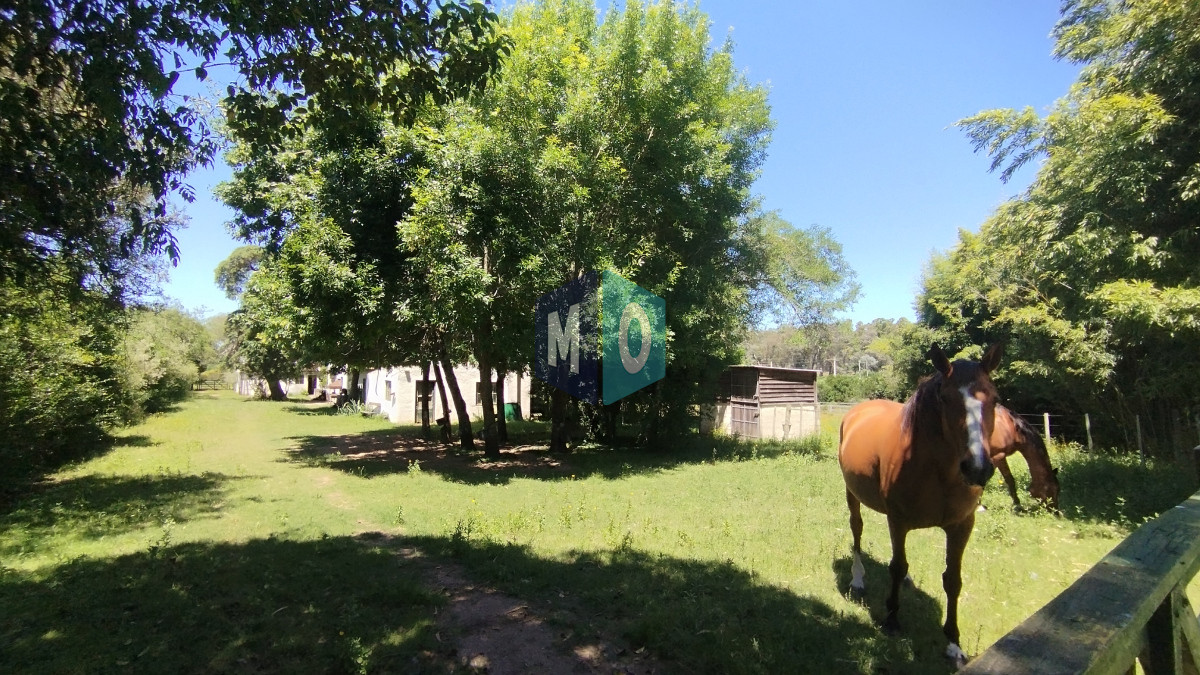 Chacra ID.797 - Chacra en venta ubicada a 2 km de la ciudad de Aigua.