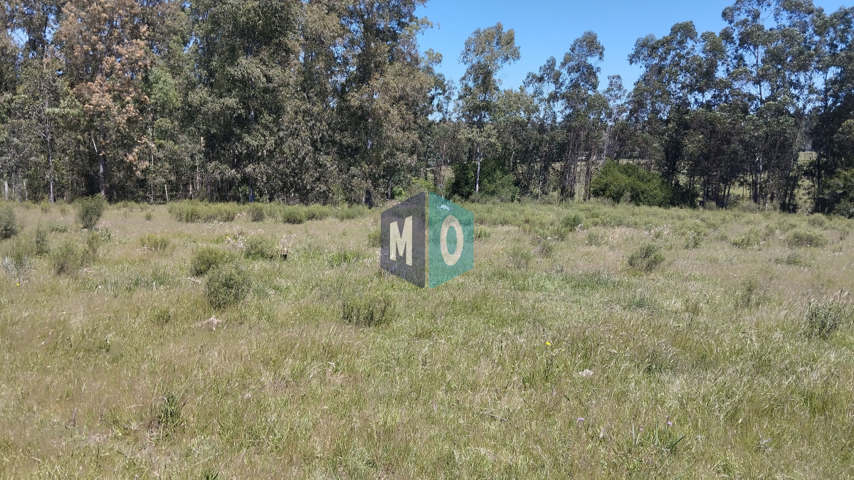 Chacra ID.797 - Chacra en venta ubicada a 2 km de la ciudad de Aigua.