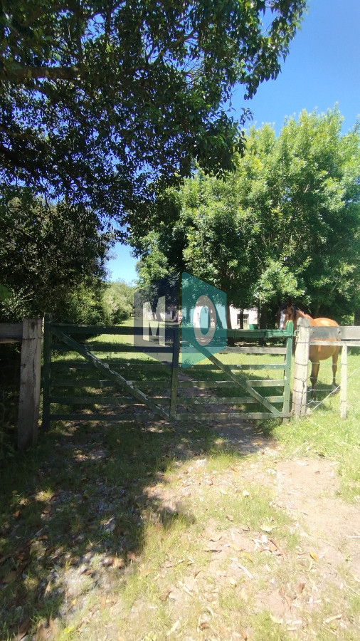 Chacra ID.797 - Chacra en venta ubicada a 2 km de la ciudad de Aigua.