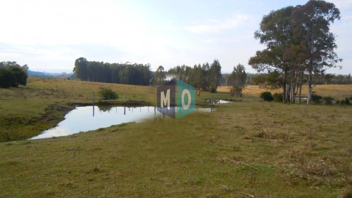 Chacra ID.797 - Chacra en venta ubicada a 2 km de la ciudad de Aigua.