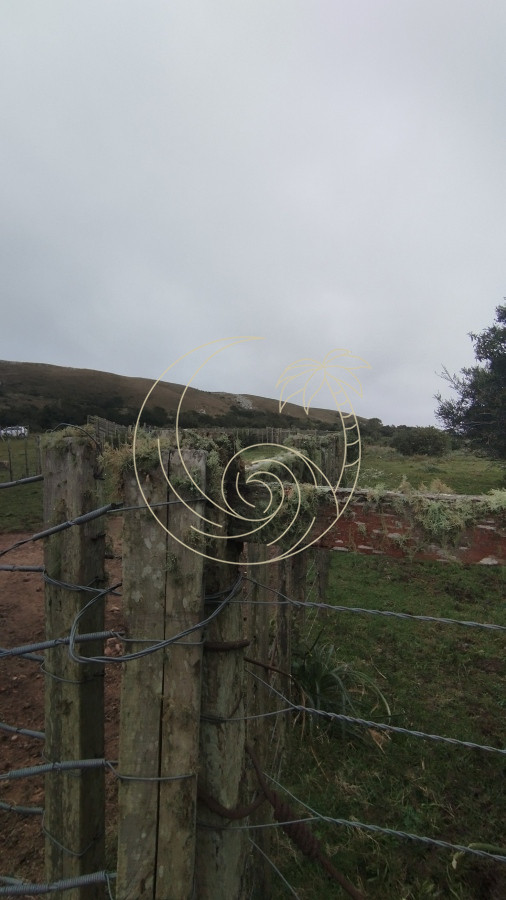 Campo Ref.21092737 - Campo en venta, Maldonado, en la zona del Cerro Catedral