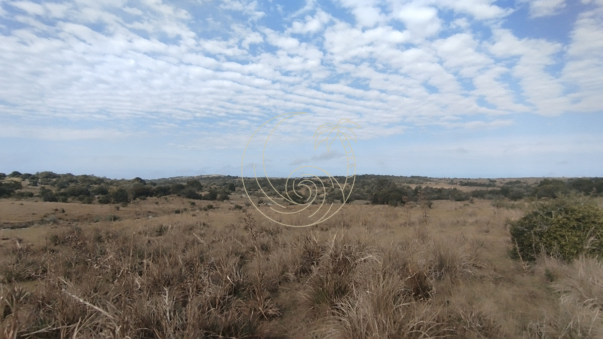 Campo Ref.21092737 - Campo en venta, Maldonado, en la zona del Cerro Catedral