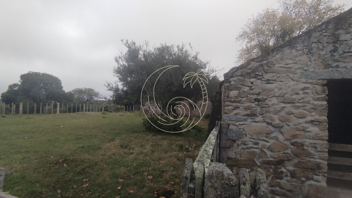 Campo Ref.21092737 - Campo en venta, Maldonado, en la zona del Cerro Catedral