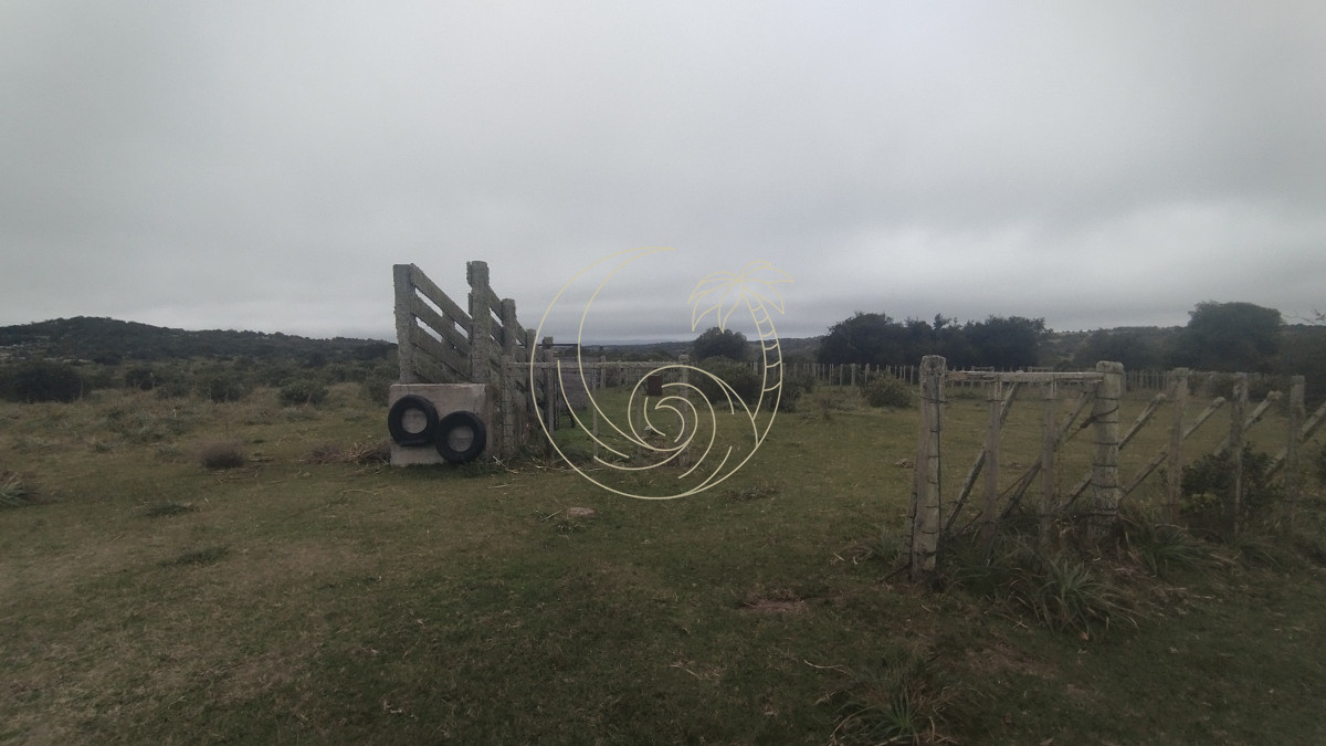 Campo Ref.21092737 - Campo en venta, Maldonado, en la zona del Cerro Catedral