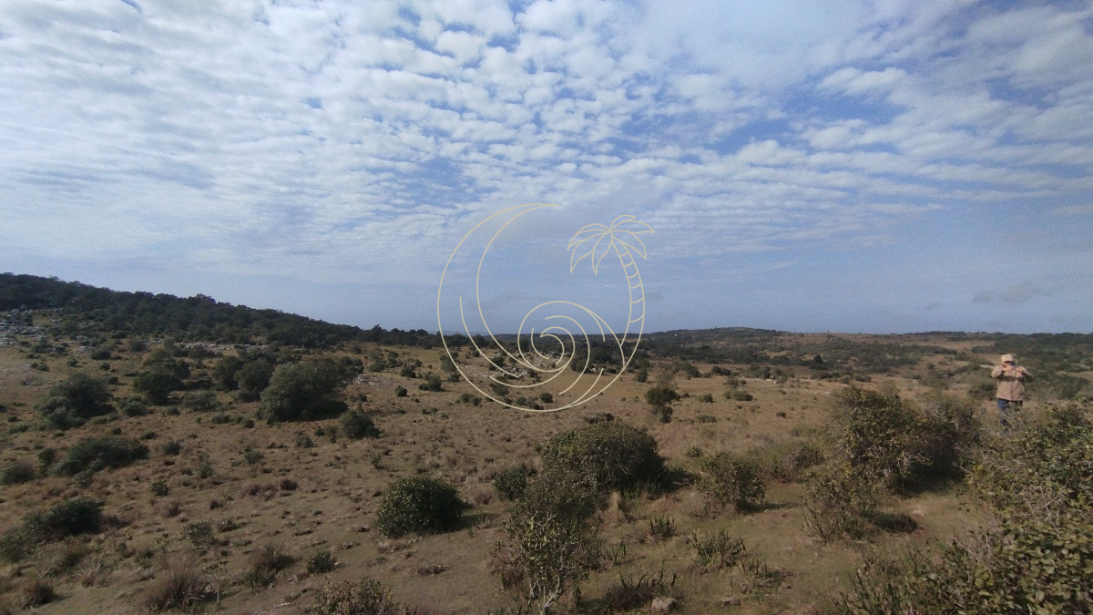 Campo Ref.21092737 - Campo en venta, Maldonado, en la zona del Cerro Catedral