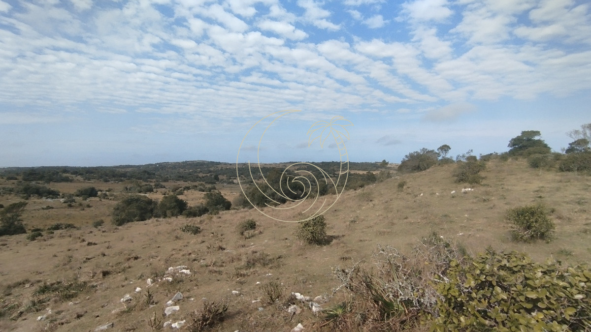 Campo Ref.21092737 - Campo en venta, Maldonado, en la zona del Cerro Catedral
