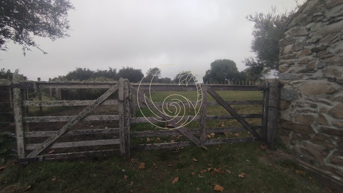 Campo Ref.21092737 - Campo en venta, Maldonado, en la zona del Cerro Catedral