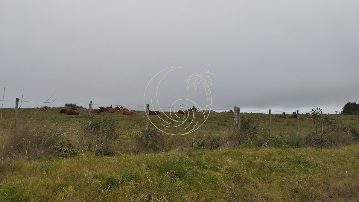 Campo Ref.21092737 - Campo en venta, Maldonado, en la zona del Cerro Catedral