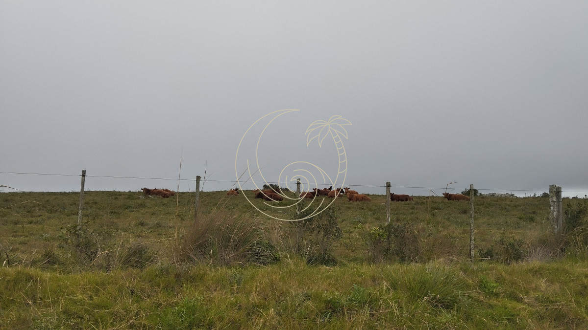 Campo Ref.21092737 - Campo en venta, Maldonado, en la zona del Cerro Catedral