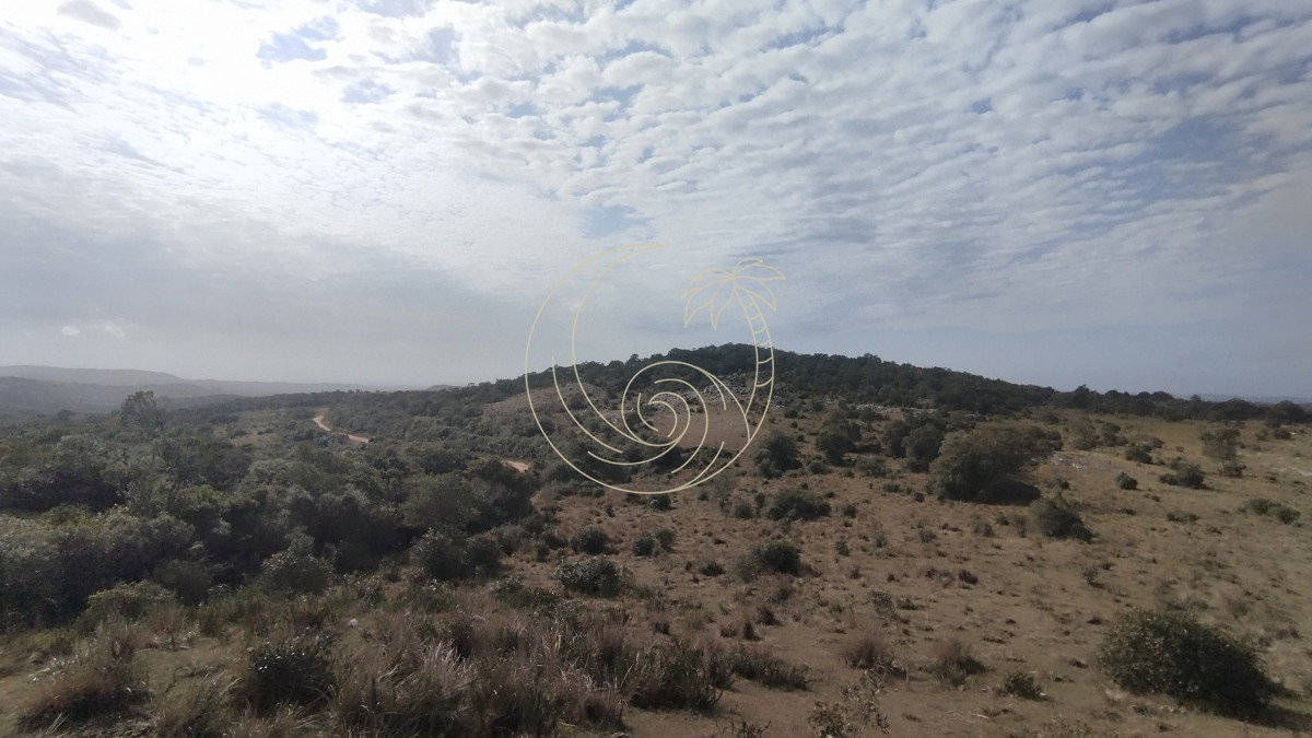 Campo Ref.21092737 - Campo en venta, Maldonado, en la zona del Cerro Catedral