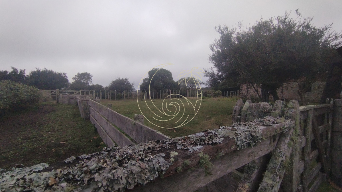 Campo Ref.21092737 - Campo en venta, Maldonado, en la zona del Cerro Catedral