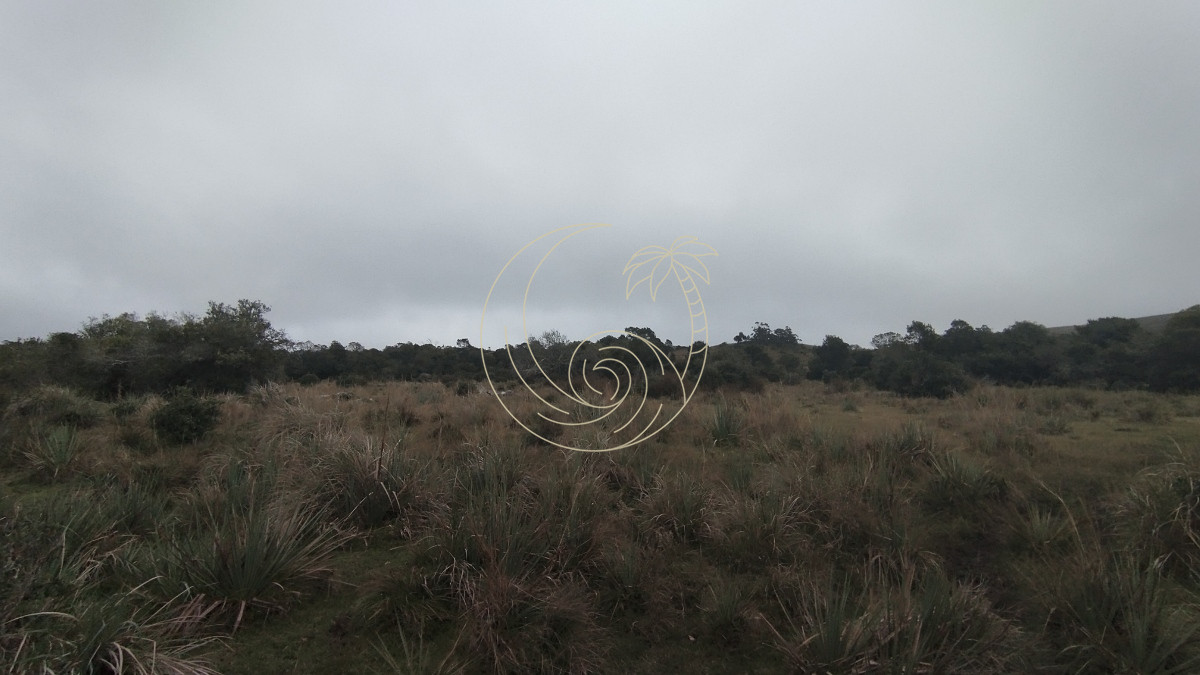 Campo Ref.21092737 - Campo en venta, Maldonado, en la zona del Cerro Catedral