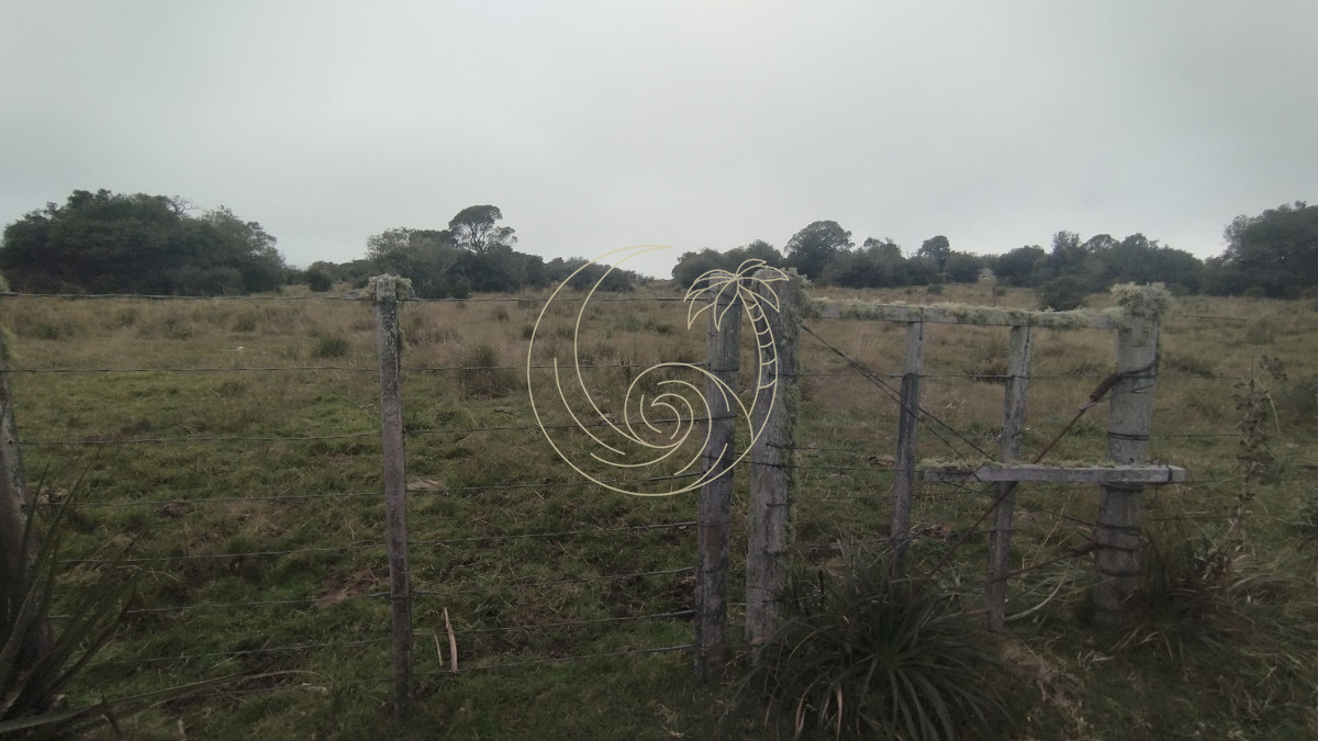 Campo Ref.21092737 - Campo en venta, Maldonado, en la zona del Cerro Catedral