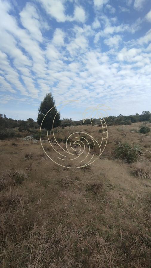 Campo Ref.21092737 - Campo en venta, Maldonado, en la zona del Cerro Catedral