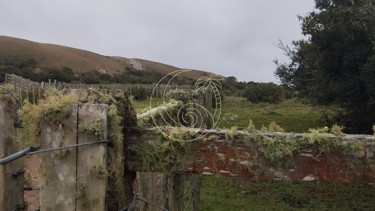 Campo Ref.21092737 - Campo en venta, Maldonado, en la zona del Cerro Catedral