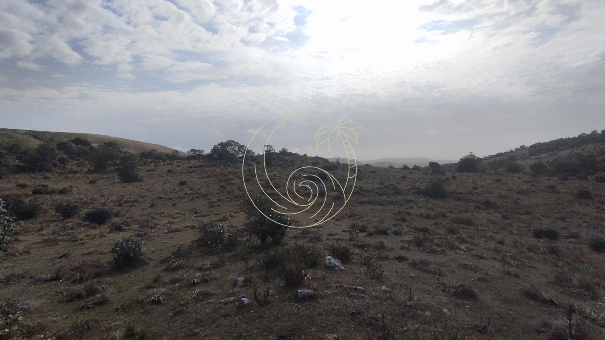 Campo Ref.21092737 - Campo en venta, Maldonado, en la zona del Cerro Catedral