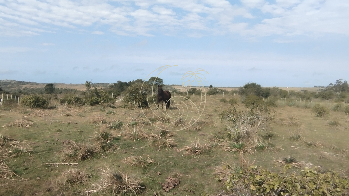 Campo Ref.21092737 - Campo en venta, Maldonado, en la zona del Cerro Catedral