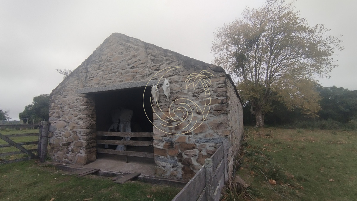Campo Ref.21092737 - Campo en venta, Maldonado, en la zona del Cerro Catedral