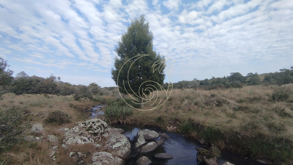 Campo Ref.21092737 - Campo en venta, Maldonado, en la zona del Cerro Catedral