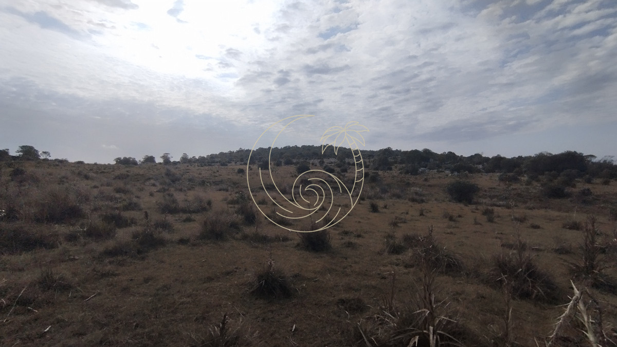 Campo Ref.21092737 - Campo en venta, Maldonado, en la zona del Cerro Catedral