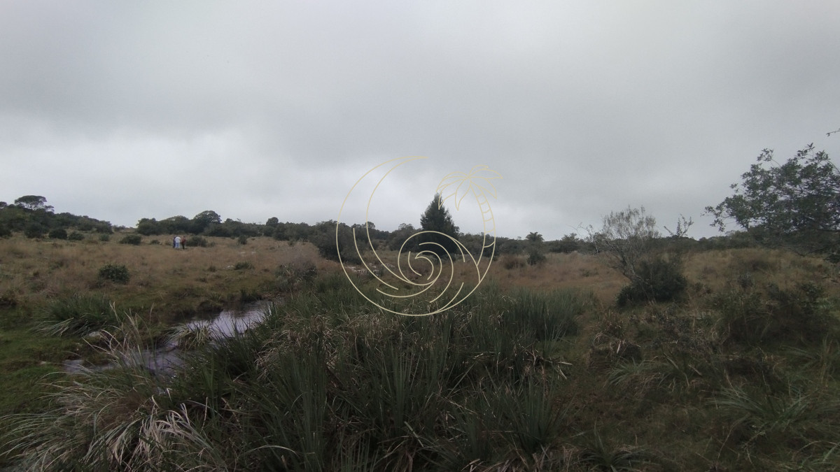 Campo Ref.21092737 - Campo en venta, Maldonado, en la zona del Cerro Catedral