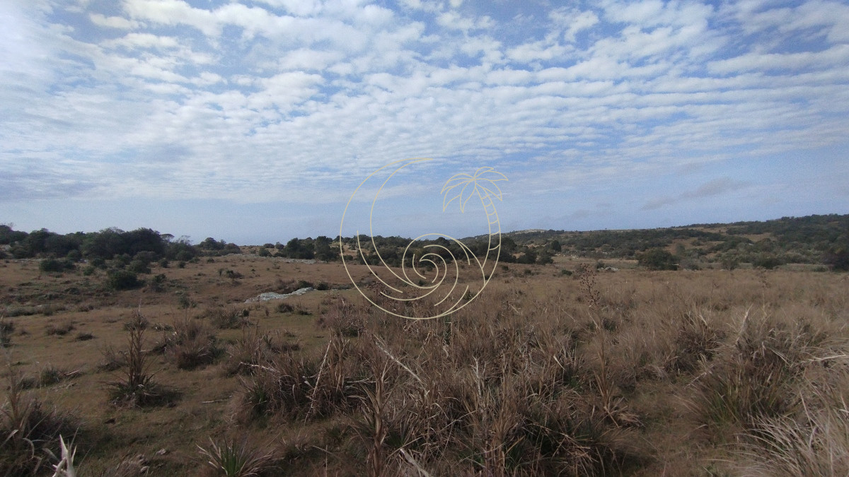 Campo Ref.21092737 - Campo en venta, Maldonado, en la zona del Cerro Catedral
