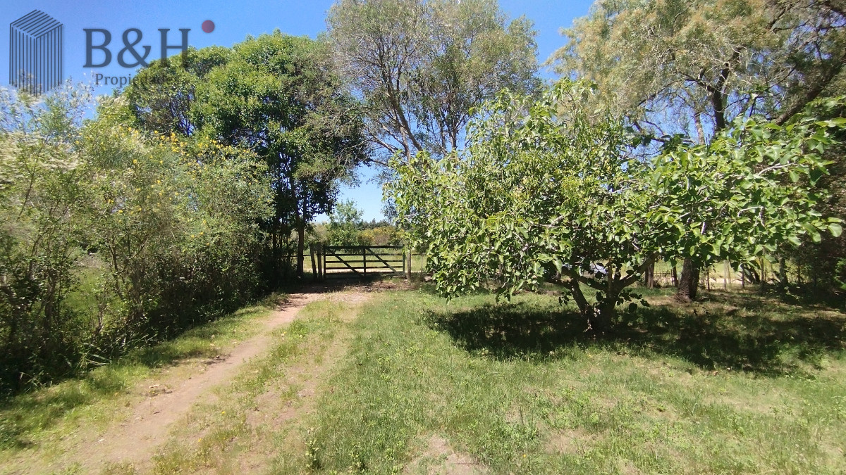 Chacra ID.4899 - Chacra en venta ubicada a 2 km de la ciudad de Aigua.