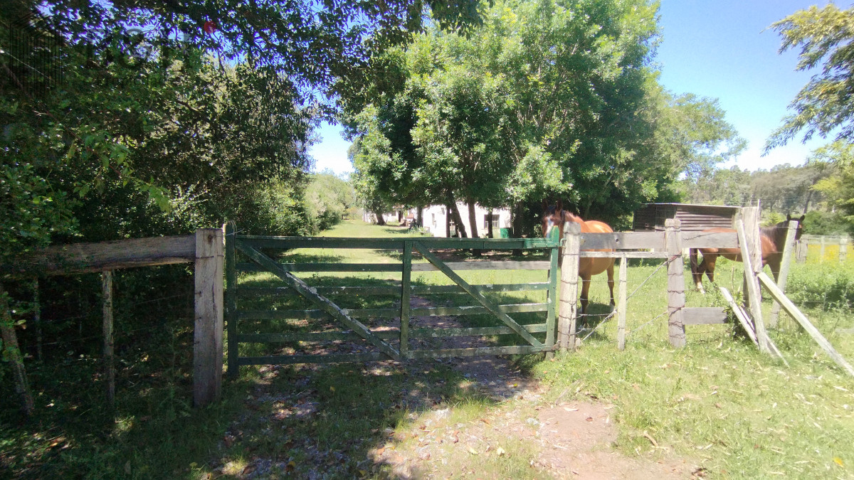 Chacra ID.4899 - Chacra en venta ubicada a 2 km de la ciudad de Aigua.