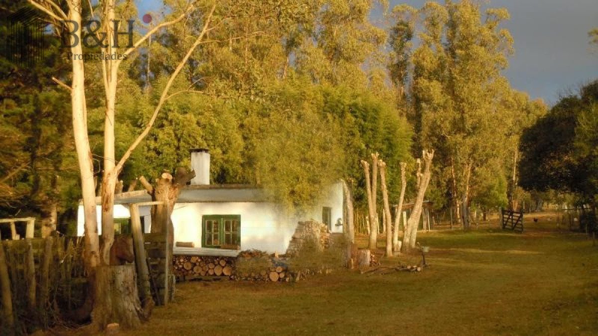 Zona Rural - GoPunta - Portal Inmobiliario de Punta del Este - Maldonado