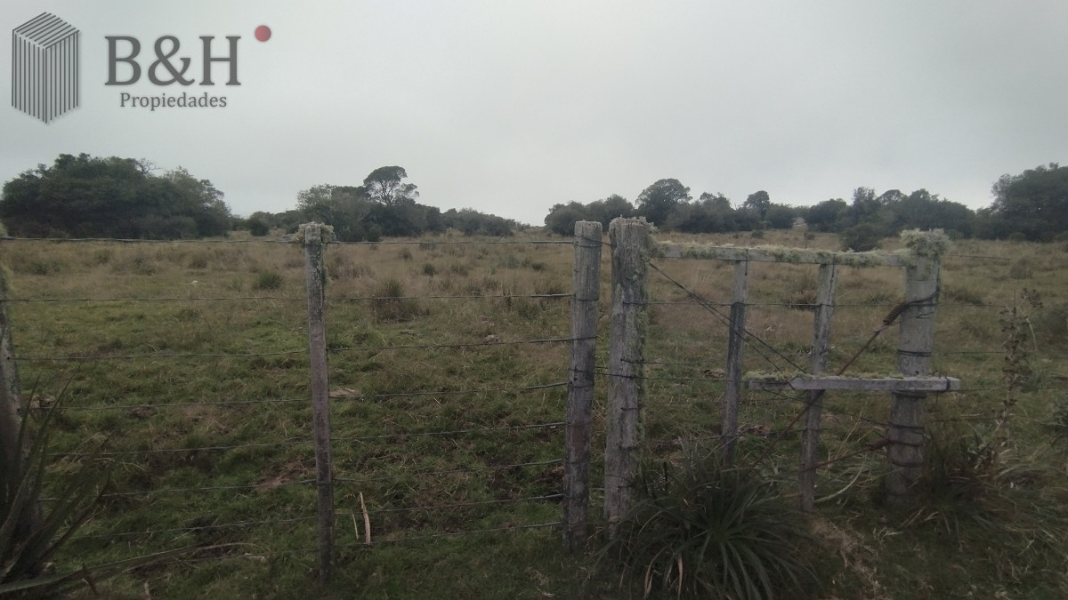 Campo en venta, Maldonado, en la zona del Cerro Catedral - GoPunta - Portal Inmobiliario de Punta del Este - Maldonado