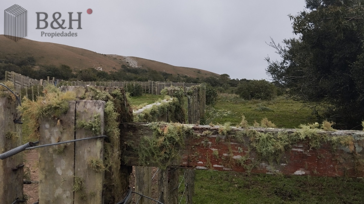 Campo en venta, Maldonado, en la zona del Cerro Catedral - GoPunta - Portal Inmobiliario de Punta del Este - Maldonado