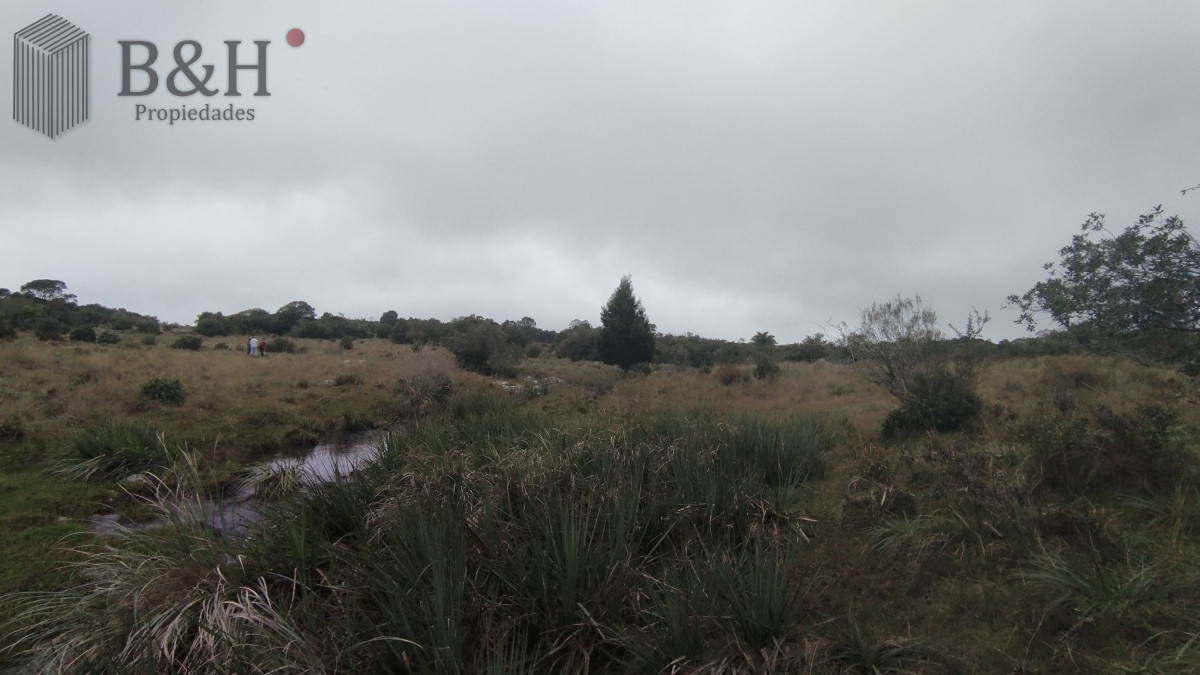 Campo en venta, Maldonado, en la zona del Cerro Catedral - GoPunta - Portal Inmobiliario de Punta del Este - Maldonado