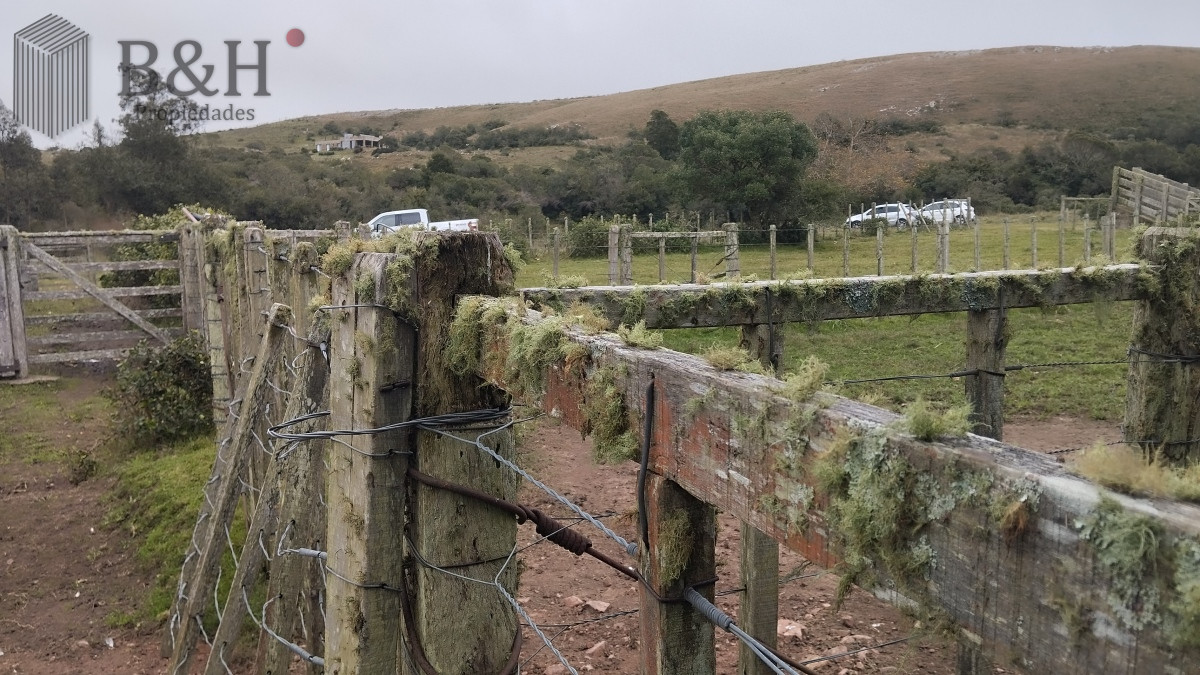 Campo en venta, Maldonado, en la zona del Cerro Catedral - GoPunta - Portal Inmobiliario de Punta del Este - Maldonado