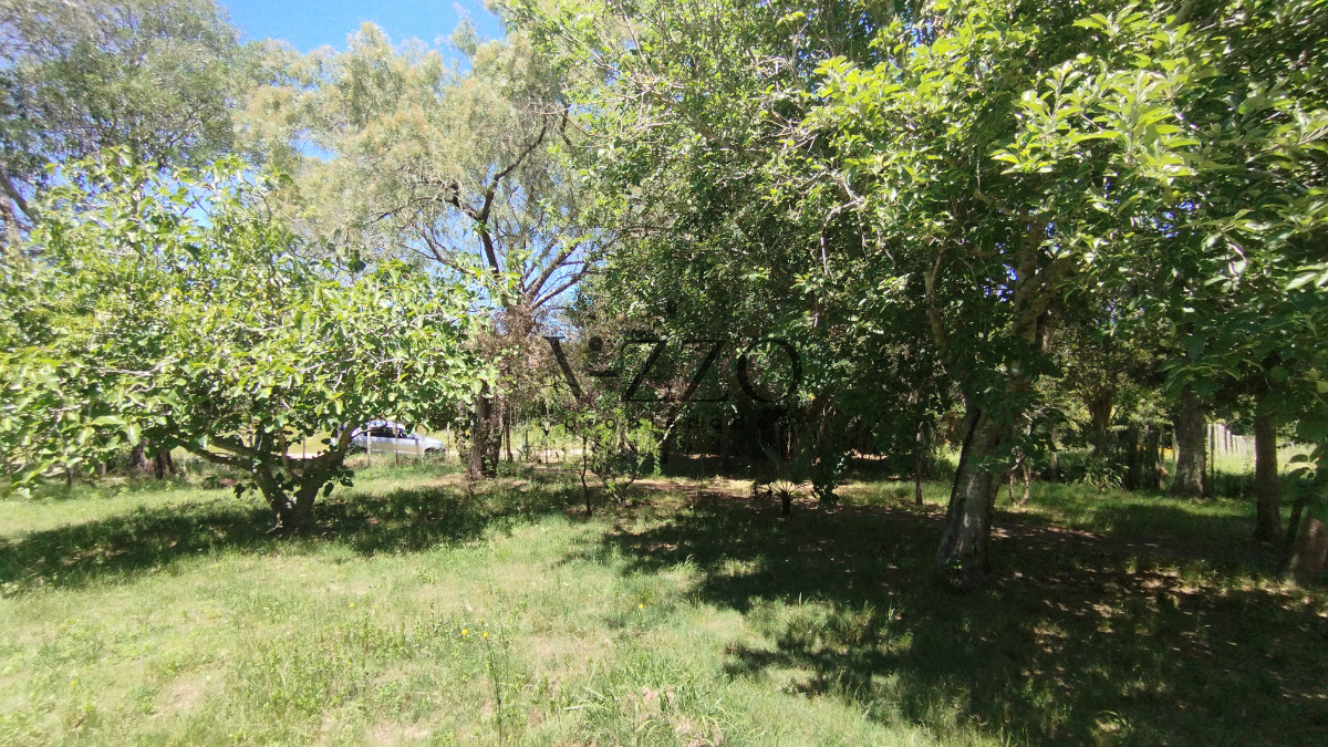 Chacra ID.1169/Chacra-en-venta-ubicada-a-2-km-de-la-ciudad-de-Aigua. - Chacra en venta ubicada a 2 km de la ciudad de Aigua.