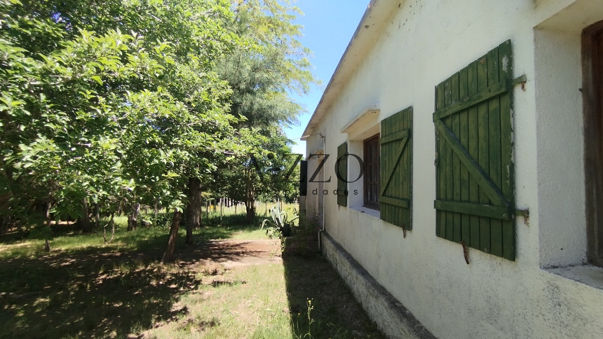 Chacra ID.1169/Chacra-en-venta-ubicada-a-2-km-de-la-ciudad-de-Aigua. - Chacra en venta ubicada a 2 km de la ciudad de Aigua.
