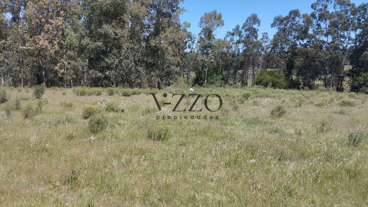 Chacra ID.1169/Chacra-en-venta-ubicada-a-2-km-de-la-ciudad-de-Aigua. - Chacra en venta ubicada a 2 km de la ciudad de Aigua.