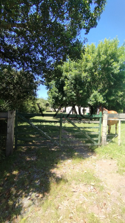 Chacra ID.1169/Chacra-en-venta-ubicada-a-2-km-de-la-ciudad-de-Aigua. - Chacra en venta ubicada a 2 km de la ciudad de Aigua.