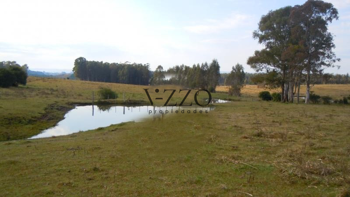 Chacra ID.1169/Chacra-en-venta-ubicada-a-2-km-de-la-ciudad-de-Aigua. - Chacra en venta ubicada a 2 km de la ciudad de Aigua.