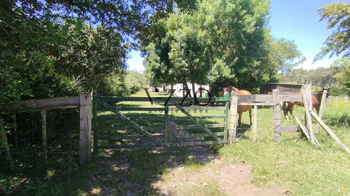 Chacra ID.1169/Chacra-en-venta-ubicada-a-2-km-de-la-ciudad-de-Aigua. - Chacra en venta ubicada a 2 km de la ciudad de Aigua.